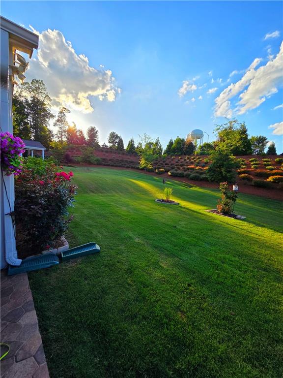 DEL WEBB @ CHATEAU ELAN - Residential