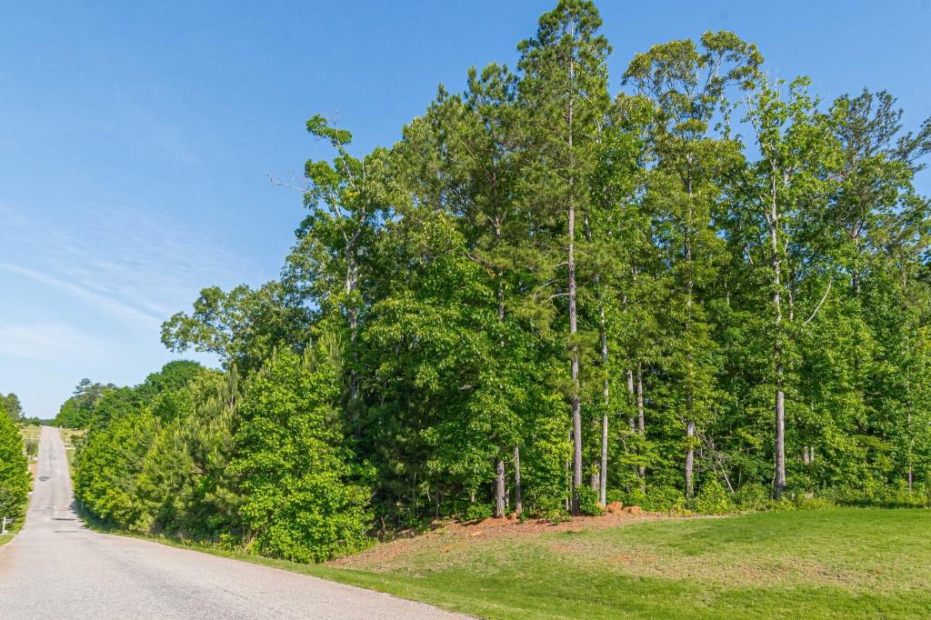 Hunter Welch Parkway, Luthersville, Georgia image 6