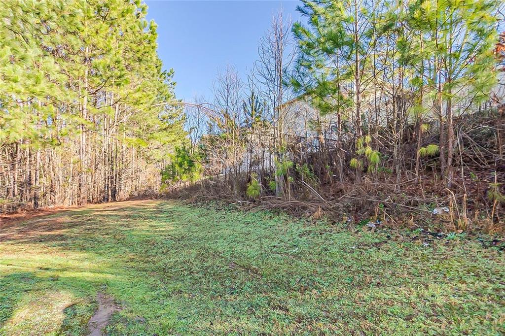 2154 Dodson Woods Drive, Fairburn, Georgia image 20