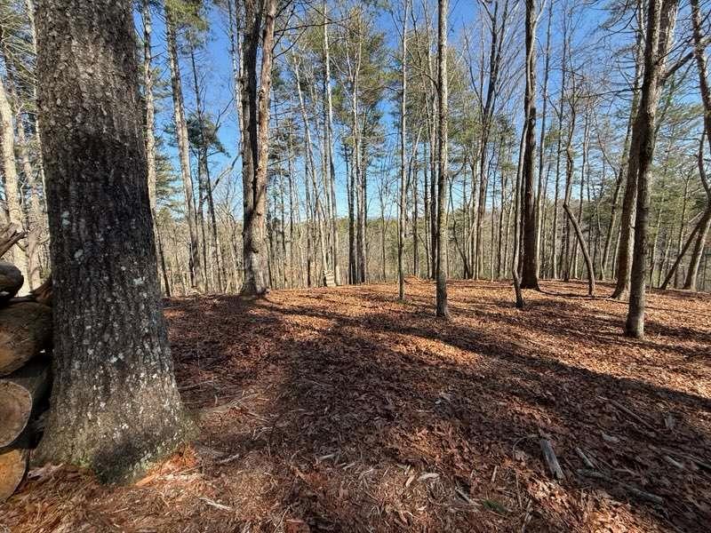 120R Red Oak Trail