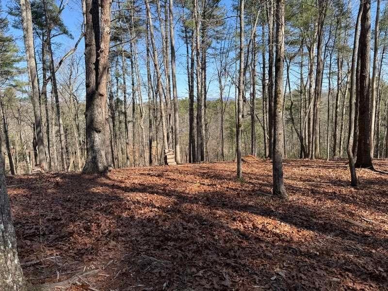 120R Red Oak Trail