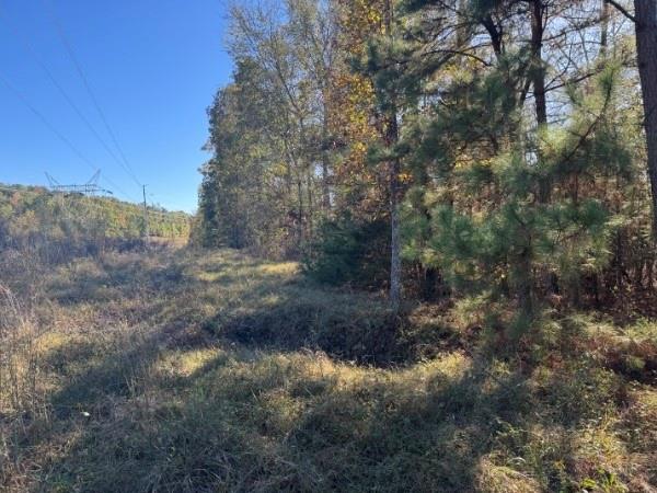 4020 Gold Springs Pass