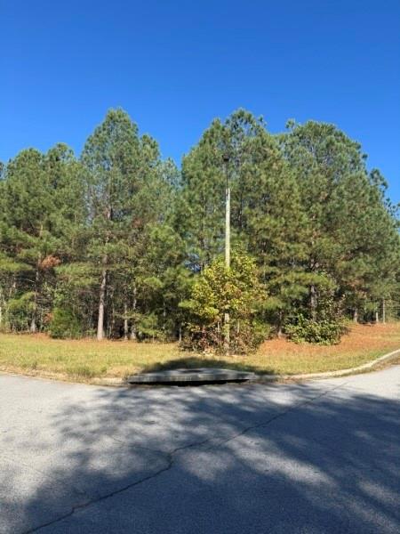 4020 Gold Springs Pass