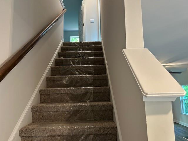 539 Wauka Drive, Demorest, Georgia image 13