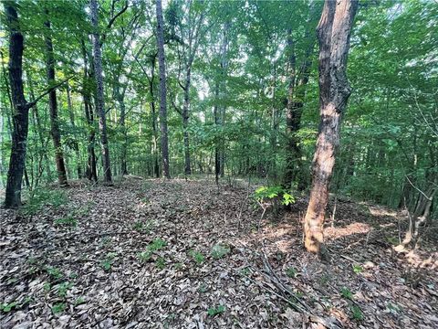 Vacant Land For Sale - 860 Cloudland Trace<br/> Walker County, Chickamauga, GA 30707