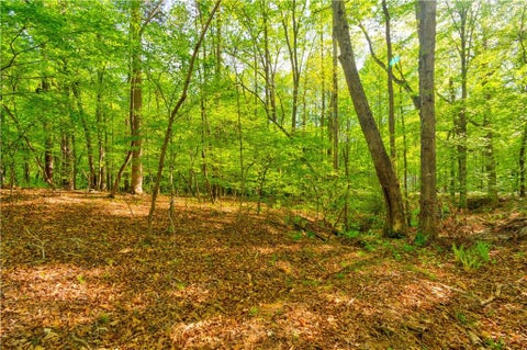 Vacant Land For Sale - 4033 Hidden Hollow Drive<br/> Gainesville, GA 30506