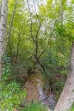 4033 Hidden Hollow Drive