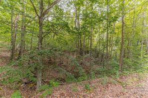 4033 Hidden Hollow Drive