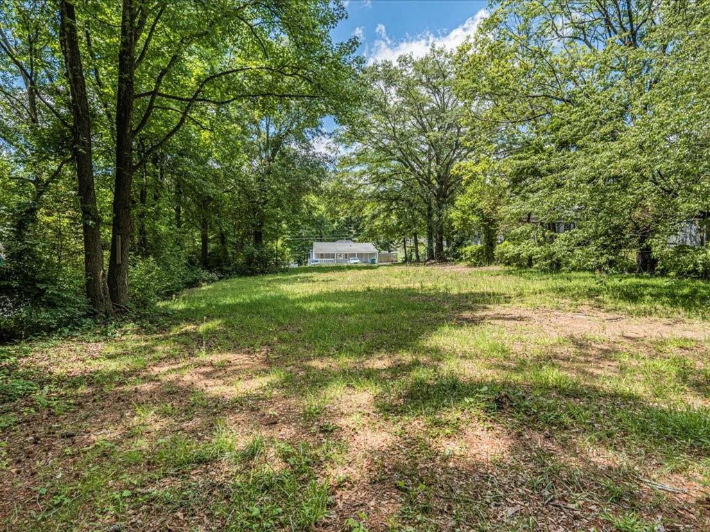 2999 Jonquil Drive, Smyrna, Georgia image 6
