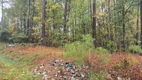 0 Grant Road Ellenwood GA 30294
