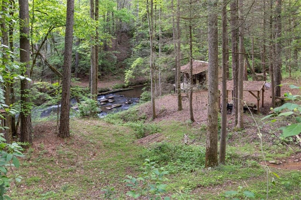 Chastain Ct., Marble Hill, Georgia image 13