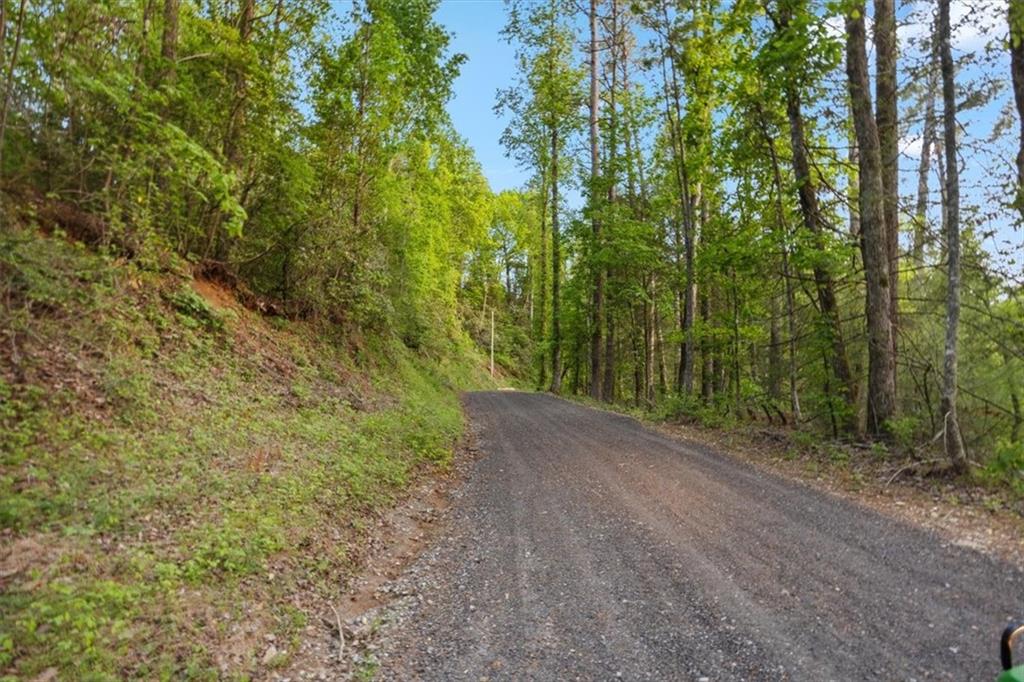 Chastain Ct., Marble Hill, Georgia image 34