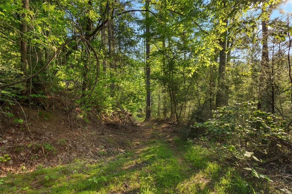 Chastain Ct., Marble Hill, Georgia image 28
