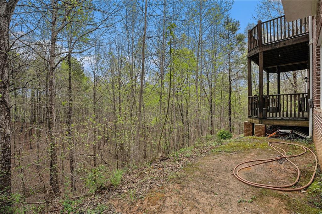 129 Preserve Parkway, Ball Ground, Georgia image 50