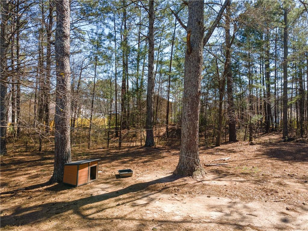 3150 Old Van Wert Road, Villa Rica, Georgia image 29