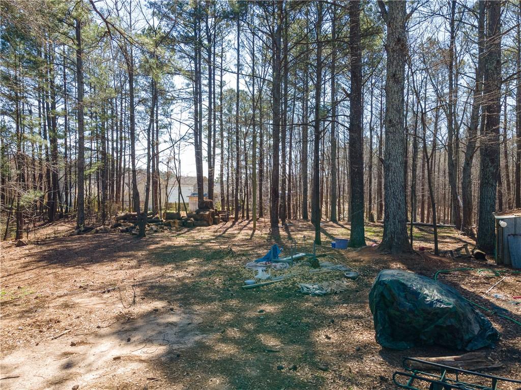 3150 Old Van Wert Road, Villa Rica, Georgia image 28