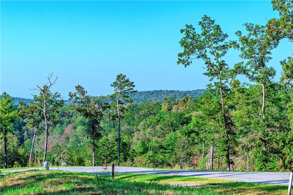 LOT 50 Jakes Landing Way, Ellijay, Georgia image 9