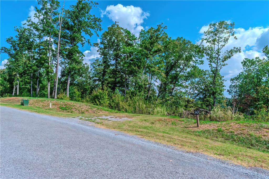 LOT 50 Jakes Landing Way, Ellijay, Georgia image 11