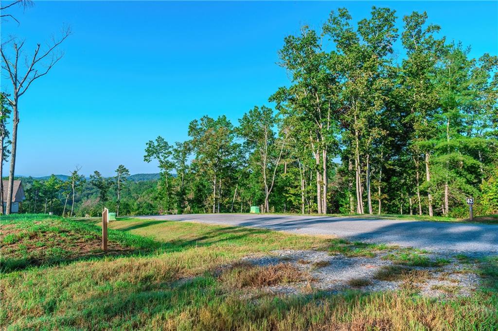 LOT 50 Jakes Landing Way, Ellijay, Georgia image 34