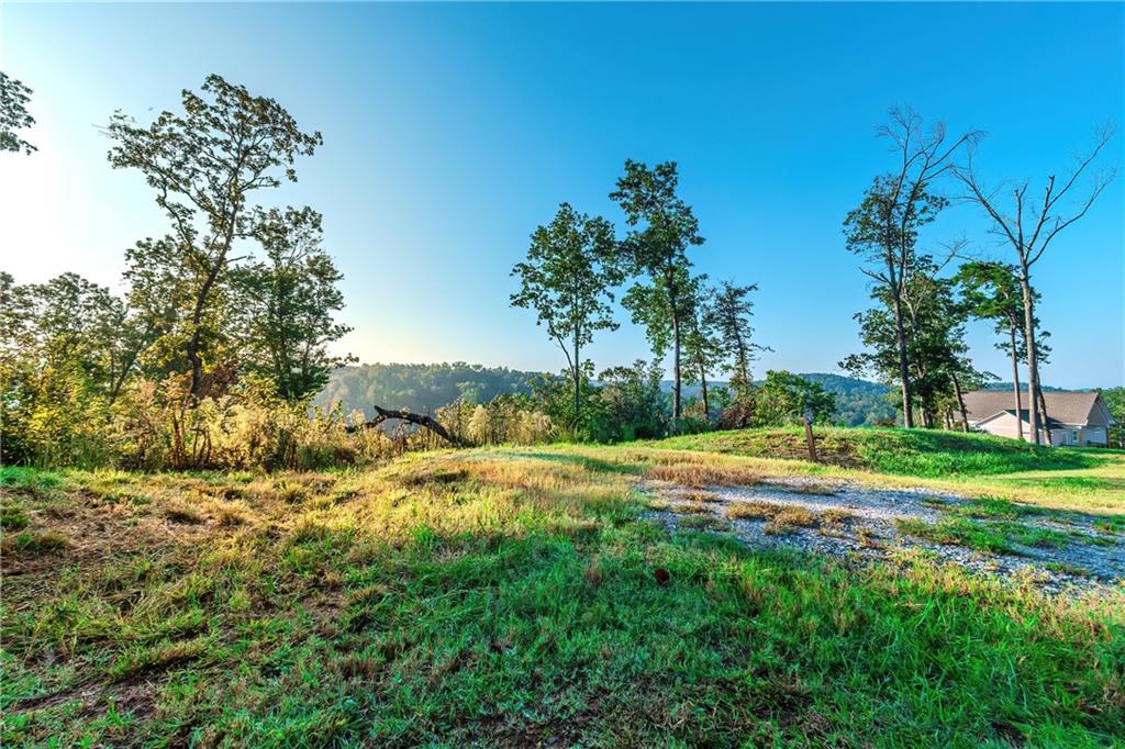 LOT 50 Jakes Landing Way, Ellijay, Georgia image 10