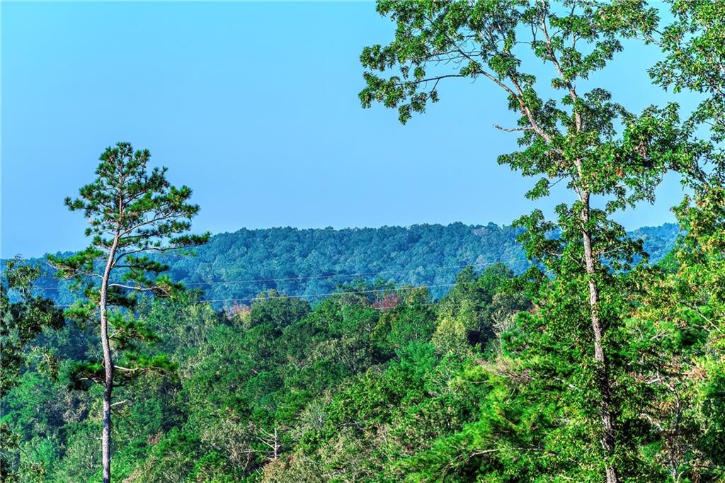 LOT 50 Jakes Landing Way, Ellijay, Georgia image 16