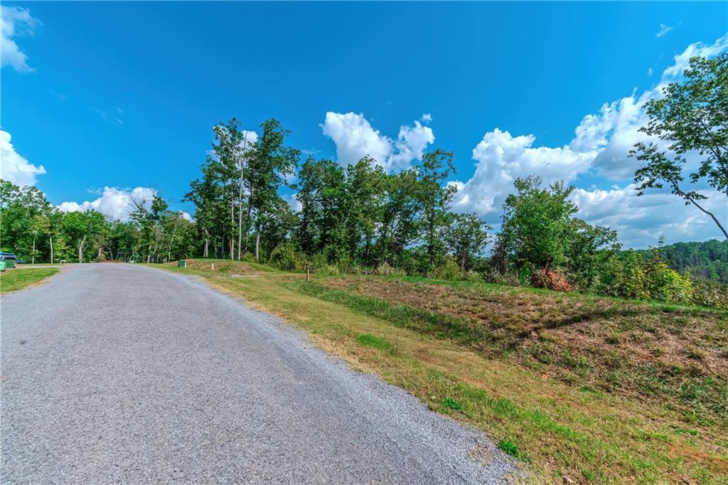 LOT 50 Jakes Landing Way, Ellijay, Georgia image 35