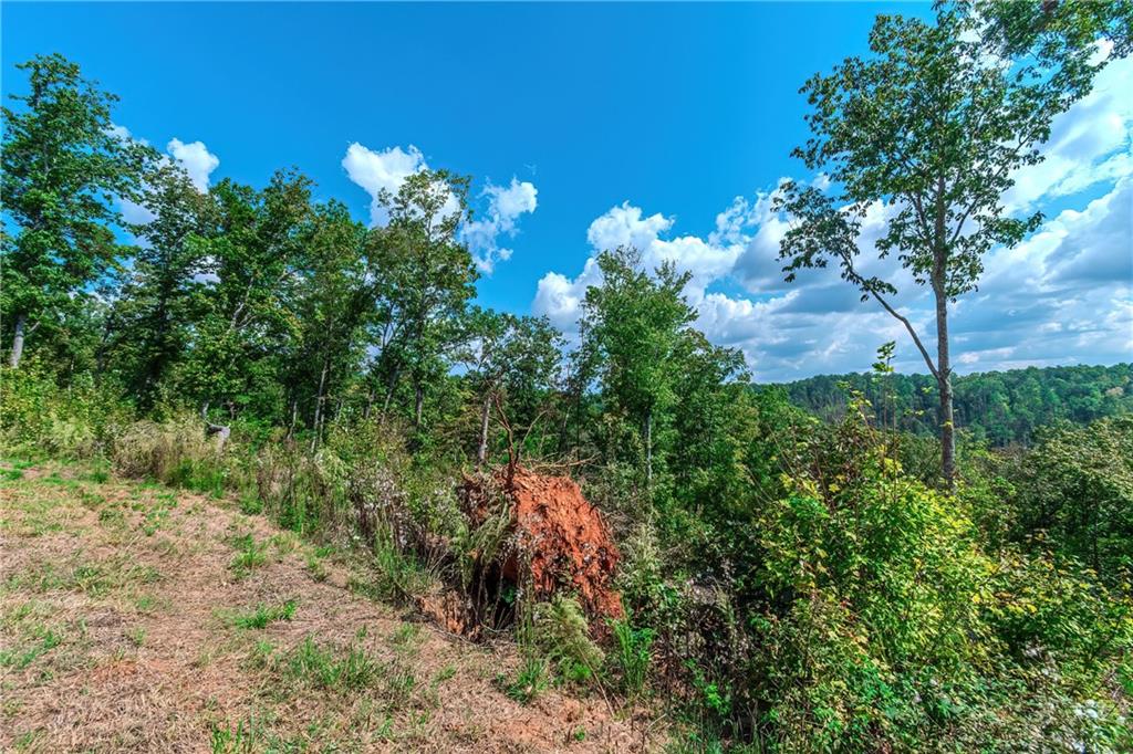 LOT 50 Jakes Landing Way, Ellijay, Georgia image 24
