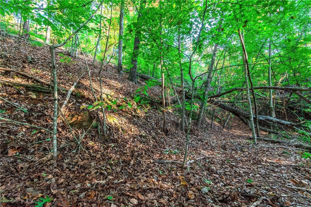 LOT 50 Jakes Landing Way, Ellijay, Georgia image 33