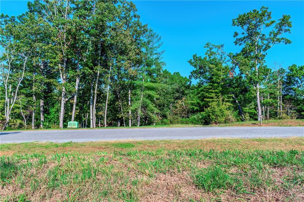 LOT 50 Jakes Landing Way, Ellijay, Georgia image 8