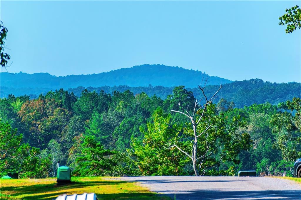 LOT 50 Jakes Landing Way, Ellijay, Georgia image 4