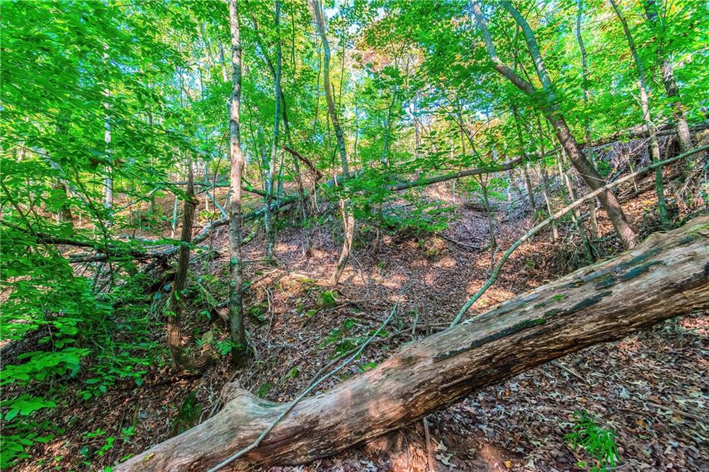 LOT 50 Jakes Landing Way, Ellijay, Georgia image 26