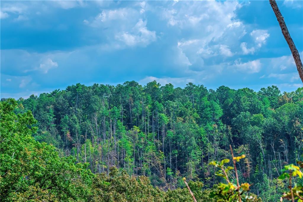 LOT 50 Jakes Landing Way, Ellijay, Georgia image 14