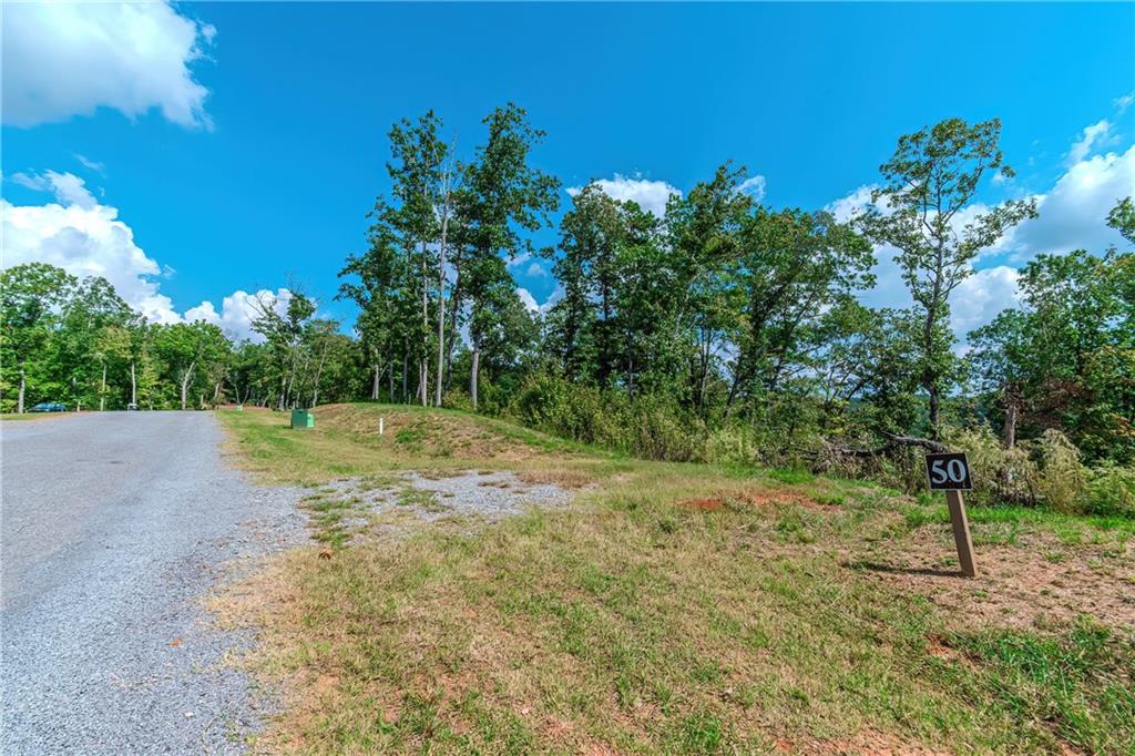 LOT 50 Jakes Landing Way, Ellijay, Georgia image 5