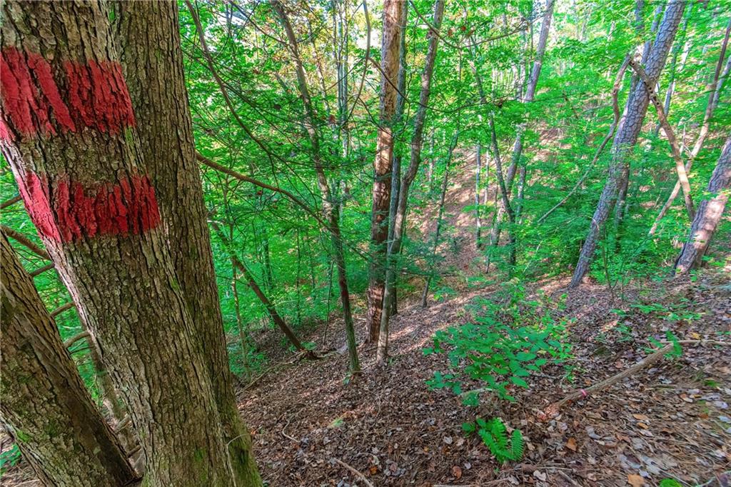 LOT 50 Jakes Landing Way, Ellijay, Georgia image 32