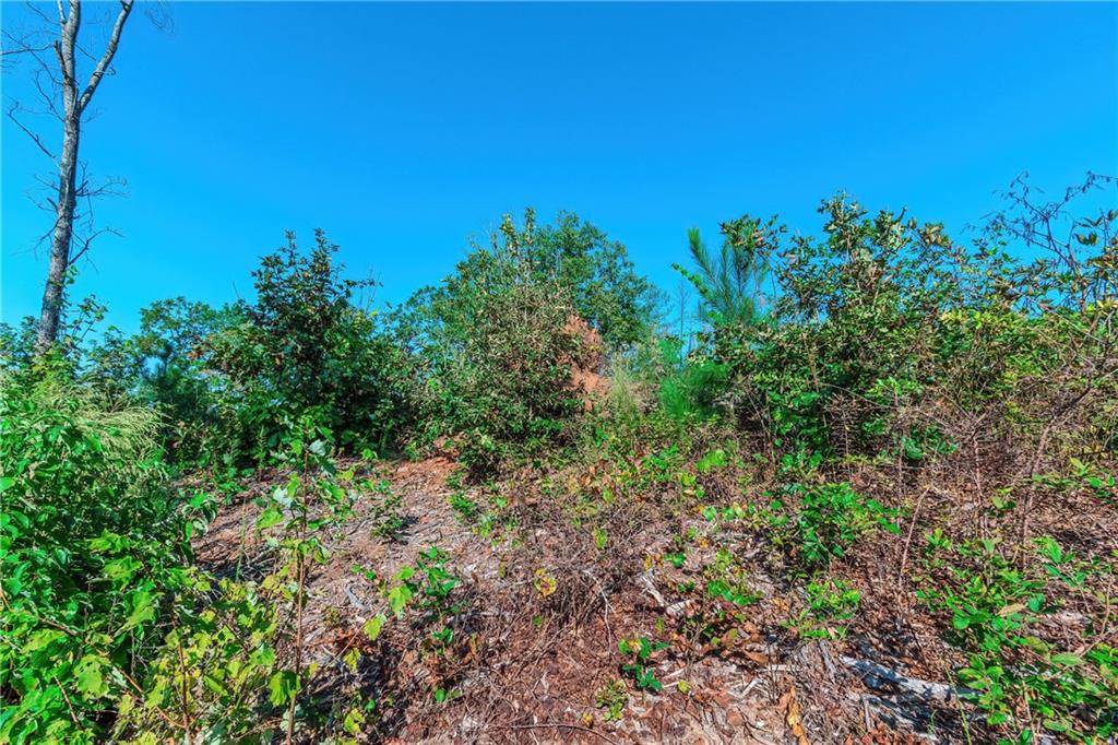 LOT 50 Jakes Landing Way, Ellijay, Georgia image 15