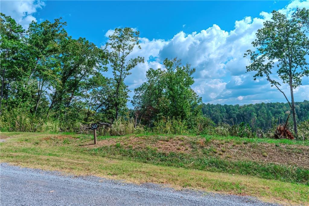 LOT 50 Jakes Landing Way, Ellijay, Georgia image 3