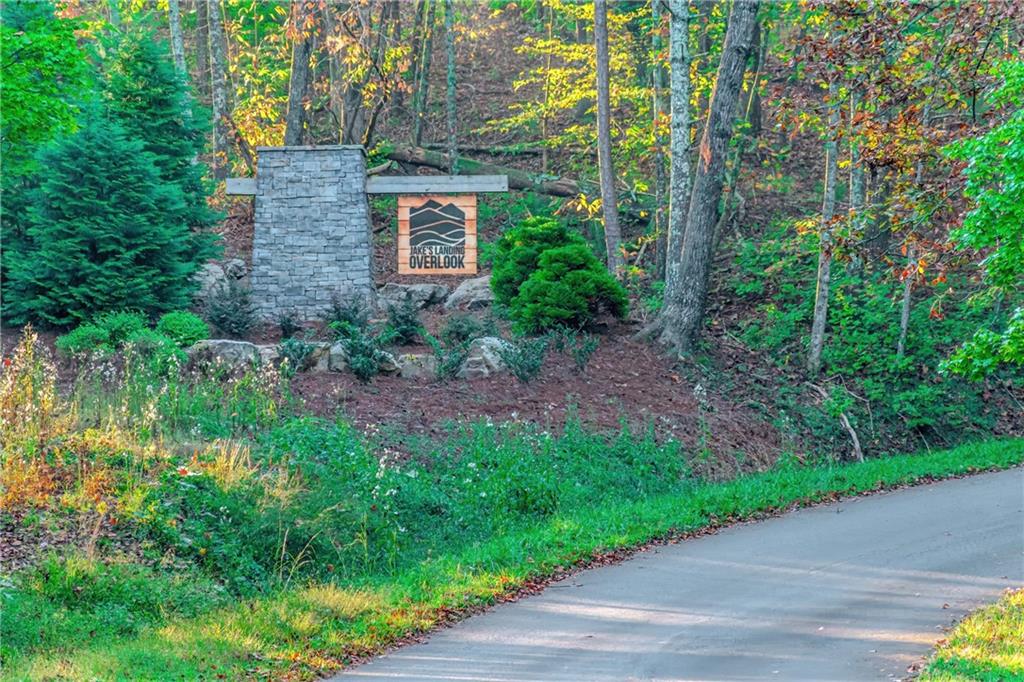 LOT 50 Jakes Landing Way, Ellijay, Georgia image 40