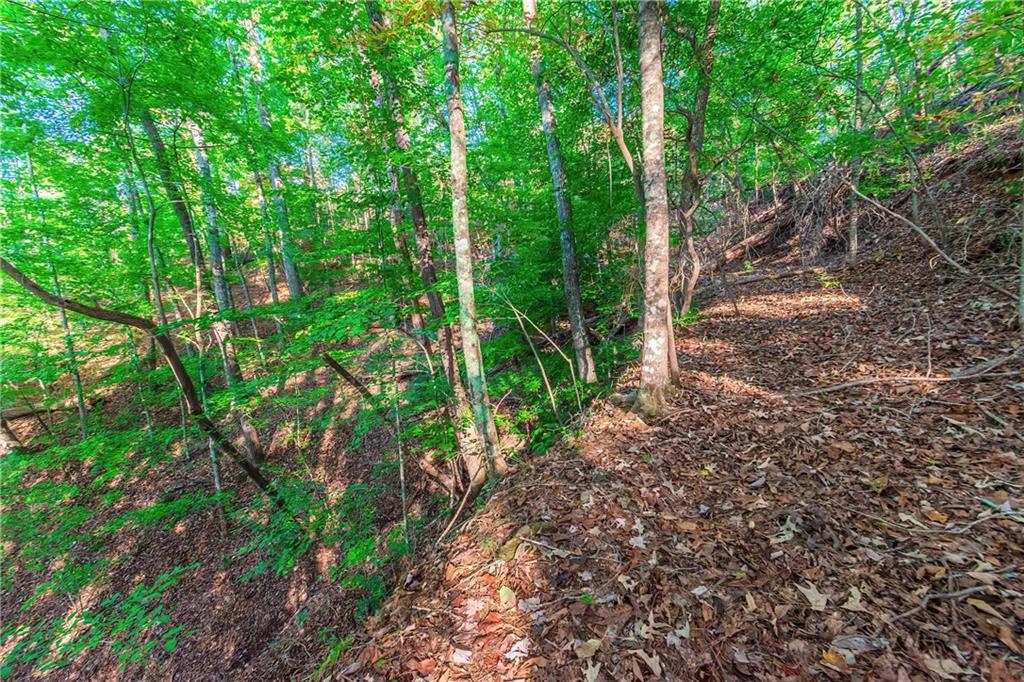 LOT 50 Jakes Landing Way, Ellijay, Georgia image 27