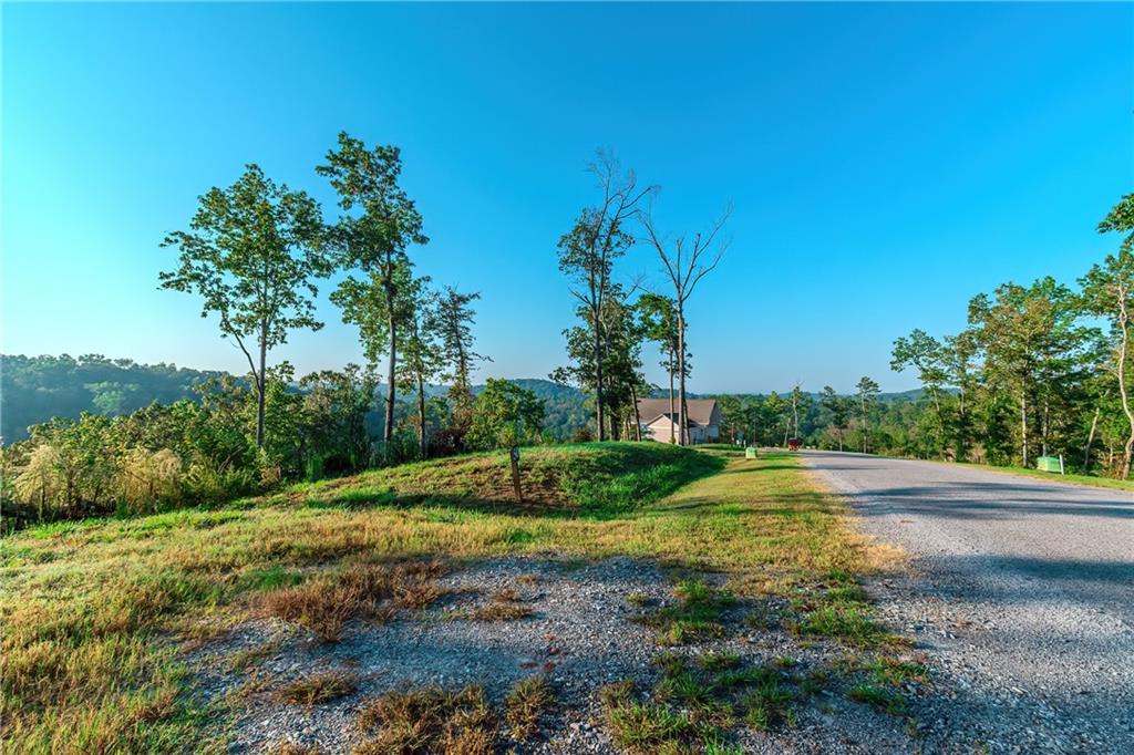 LOT 50 Jakes Landing Way, Ellijay, Georgia image 36