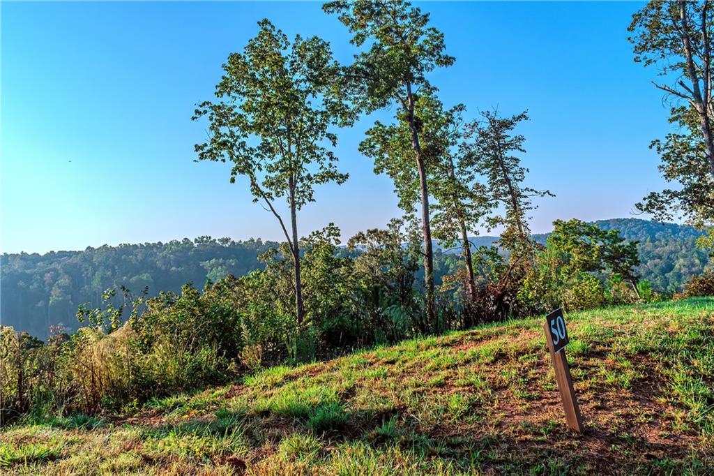 LOT 50 Jakes Landing Way, Ellijay, Georgia image 13
