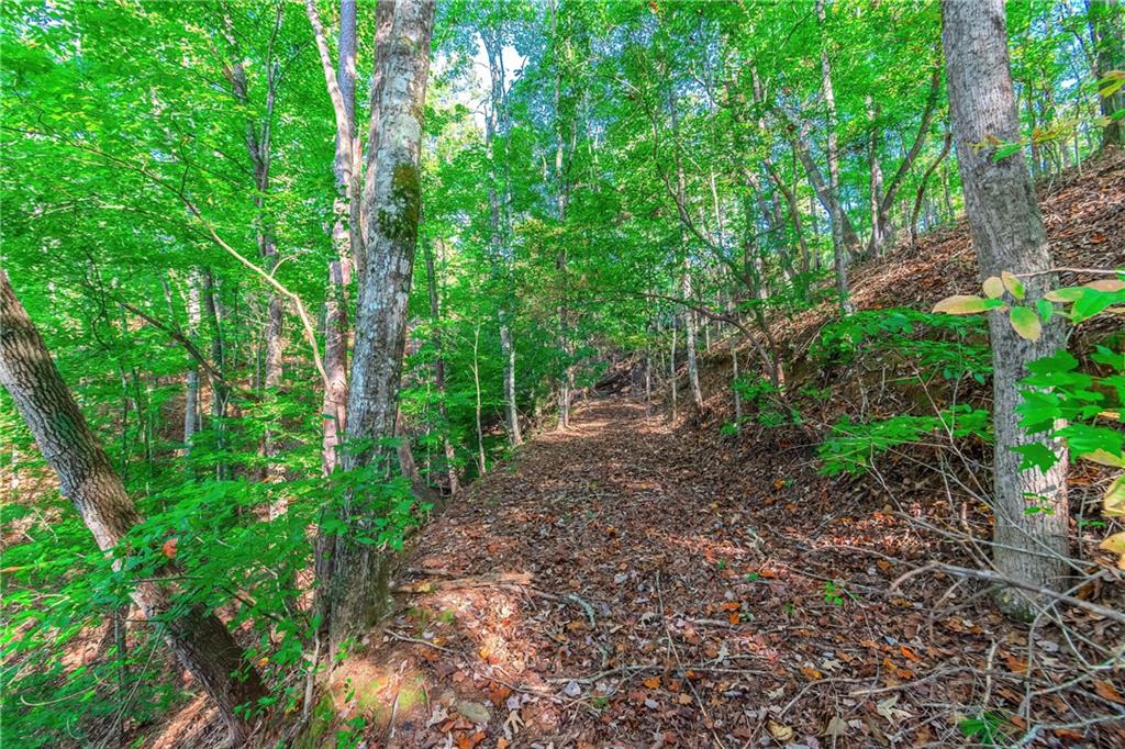 LOT 50 Jakes Landing Way, Ellijay, Georgia image 30