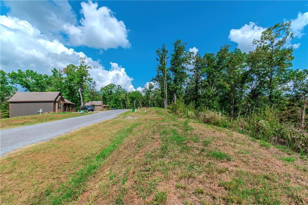 LOT 50 Jakes Landing Way, Ellijay, Georgia image 23