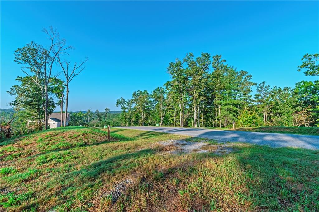 LOT 50 Jakes Landing Way, Ellijay, Georgia image 19