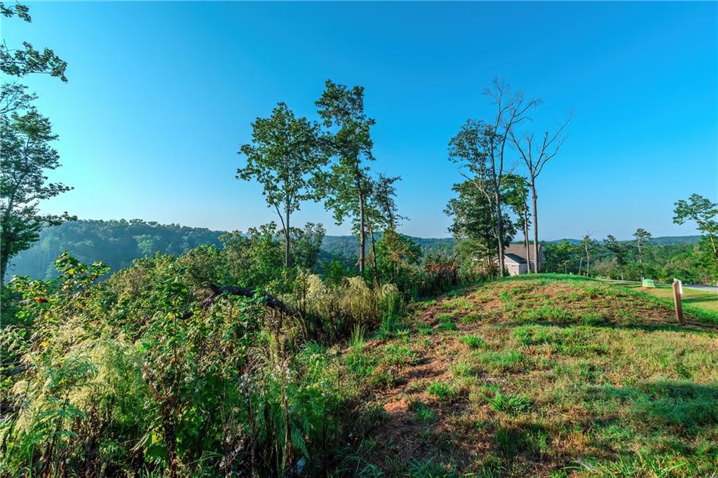 LOT 50 Jakes Landing Way, Ellijay, Georgia image 20
