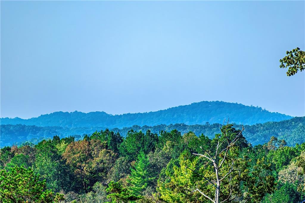 LOT 50 Jakes Landing Way, Ellijay, Georgia image 7