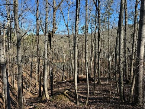 Vacant Land For Sale - 70 Geyser Court<br/> Gordon County, Ranger, GA 30734