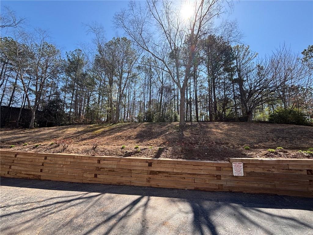 705 Bridge Lane, Smyrna, Georgia image 6