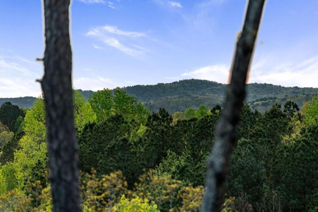 168 Carters View Lane, Ellijay, Georgia image 18