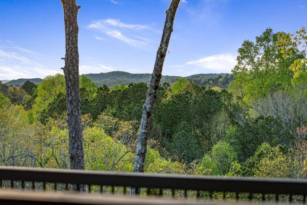 168 Carters View Lane, Ellijay, Georgia image 33