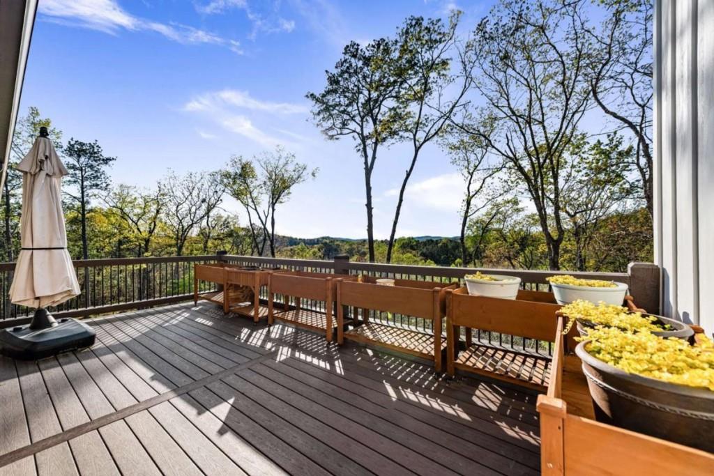168 Carters View Lane, Ellijay, Georgia image 24